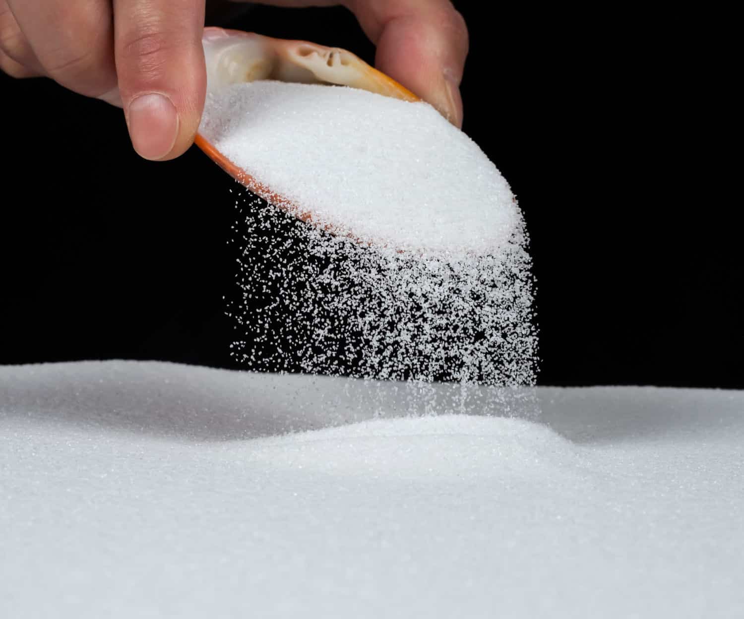 sand pouring out of sea shells on black background.